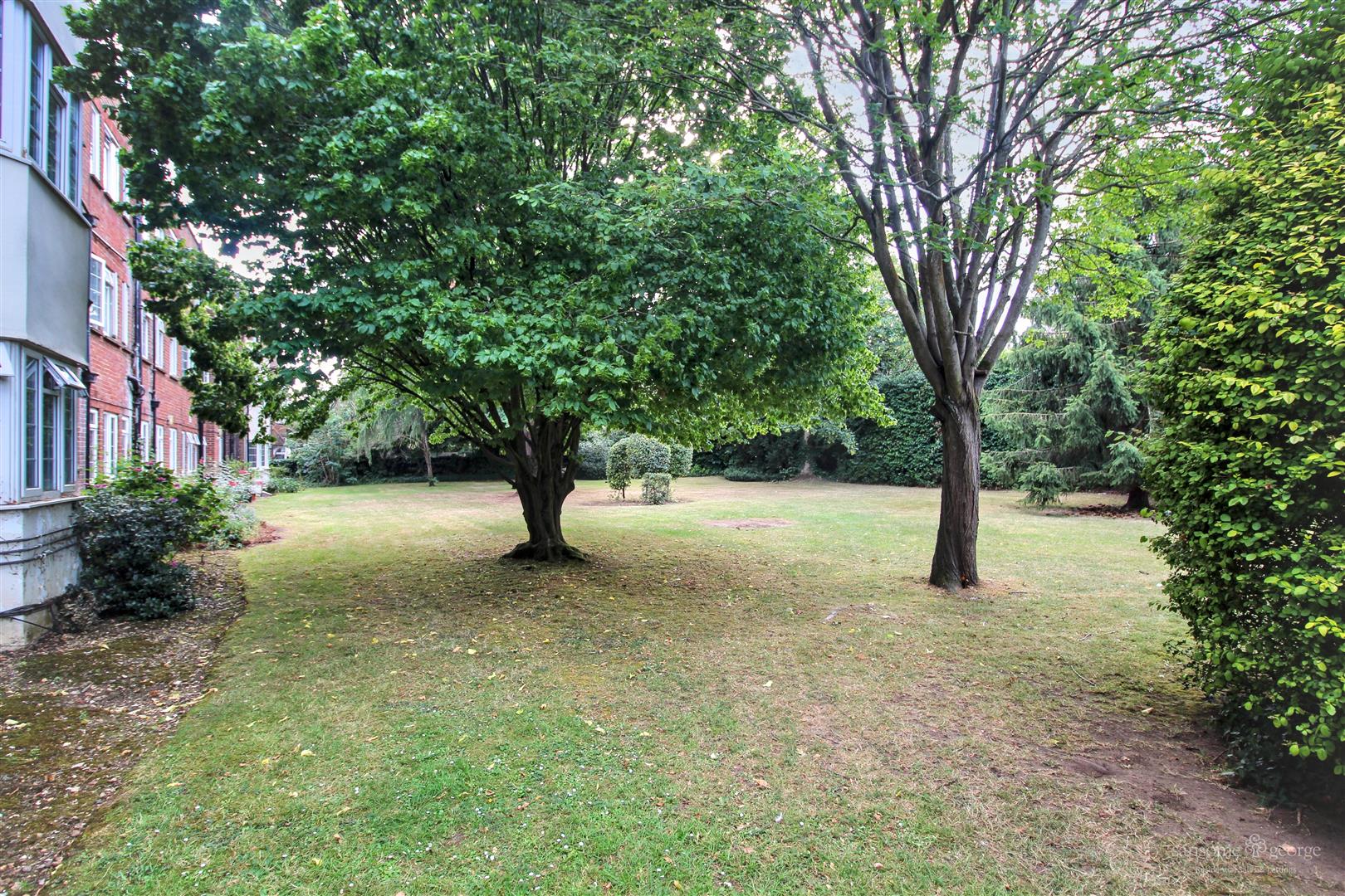 Coley Avenue, Reading